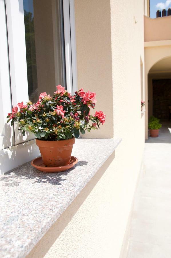 Apartment Viveniti Klenovica Dış mekan fotoğraf