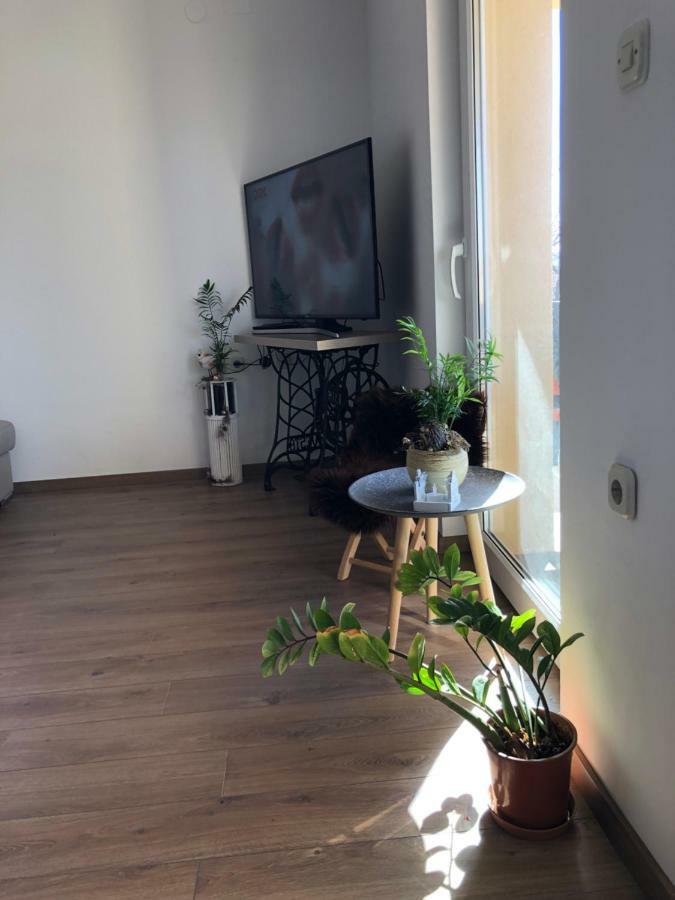 Apartment Viveniti Klenovica Dış mekan fotoğraf